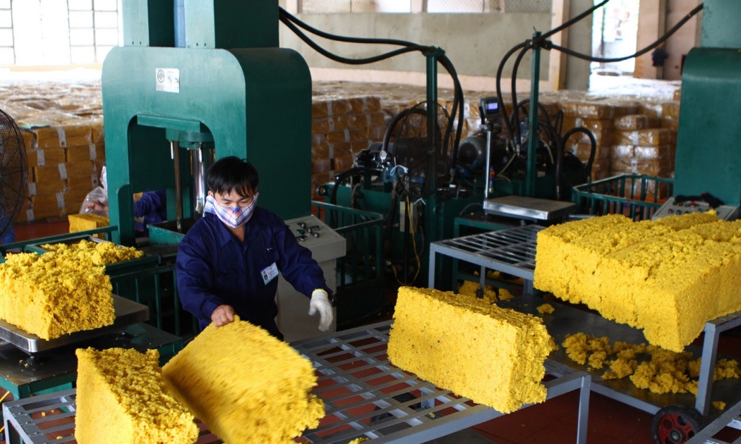 Xuất khẩu cao su toàn ngành suy giảm, VRG vẫn bứt phá ấn tượng