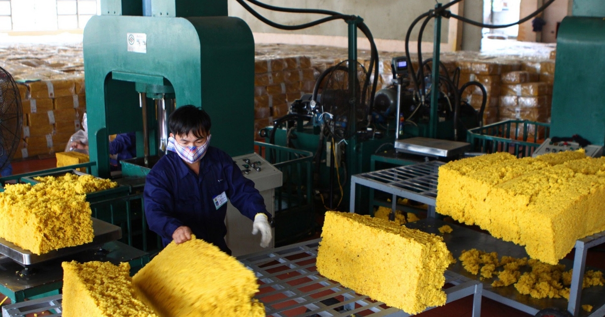 Xuất khẩu cao su toàn ngành suy giảm, VRG vẫn bứt phá ấn tượng