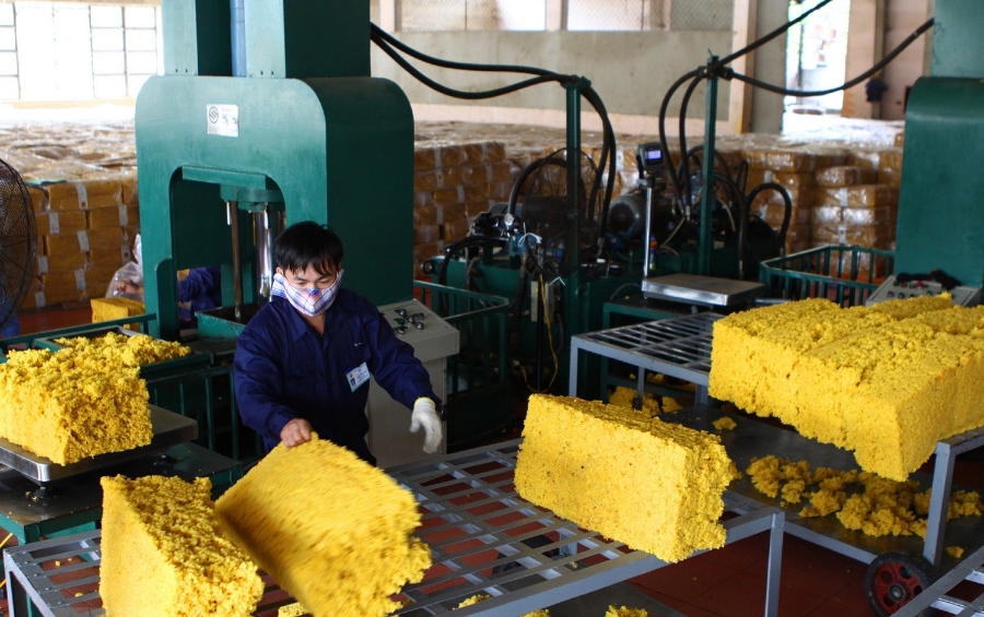 Xuất khẩu cao su 11 tháng năm 2025 đạt 1,7 triệu tấn, giảm 6,8% so với cùng kỳ năm trước.