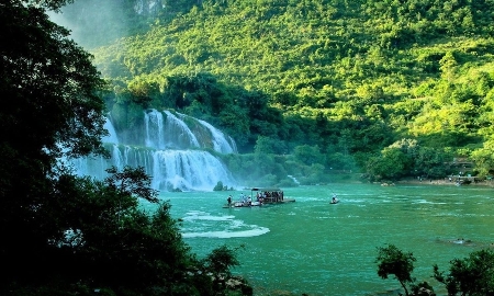 Nâng cao hiệu quả quản lý, bảo vệ vững chắc hệ thống rừng đặc dụng và phòng hộ