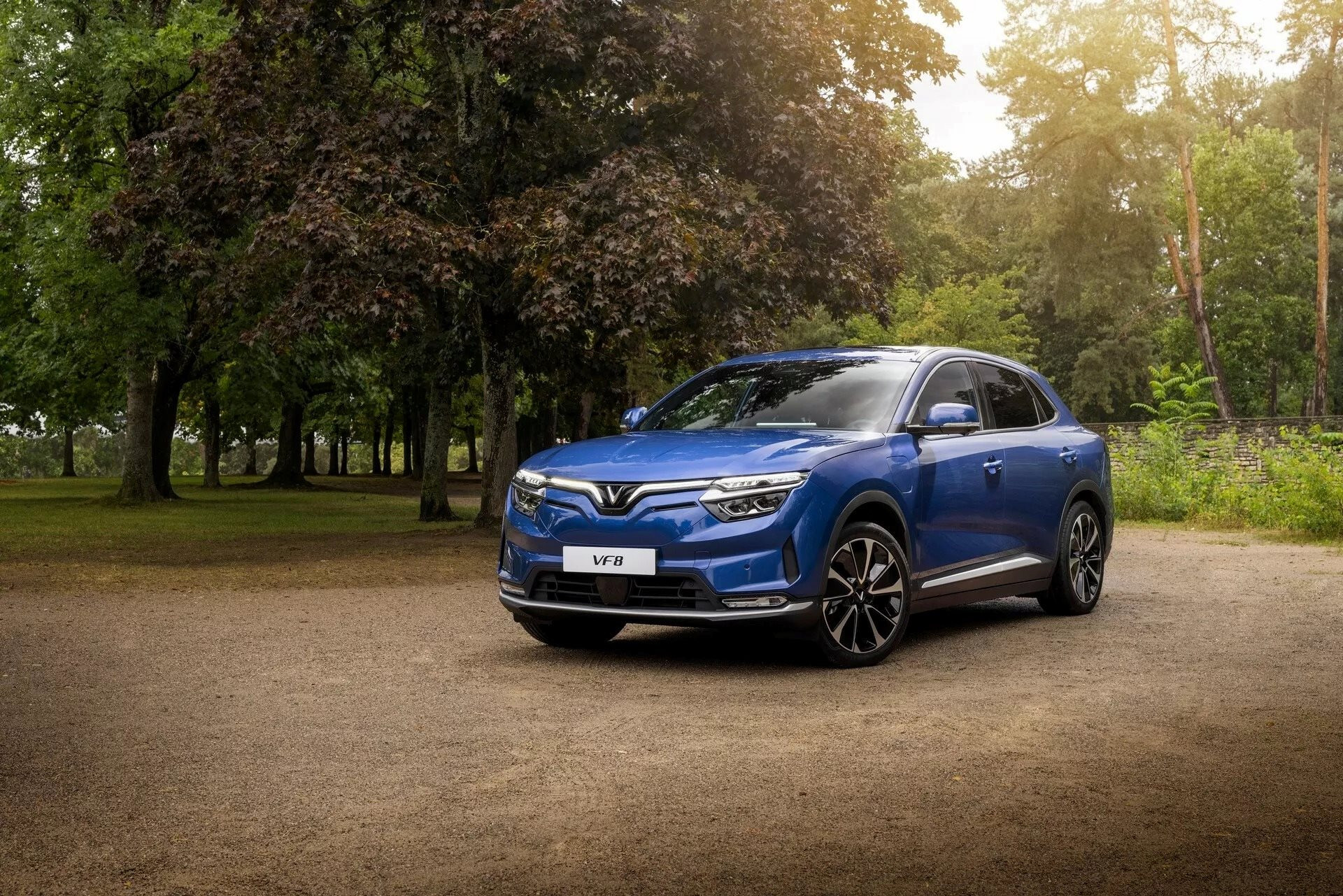 <i>Trong xu thế chuyển đổi xanh, thị trường xe điện Việt Nam đang phát triển mạnh mẽ.</i>