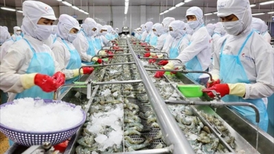 Seafood exports set new record, surpassing $11 bln for the first time