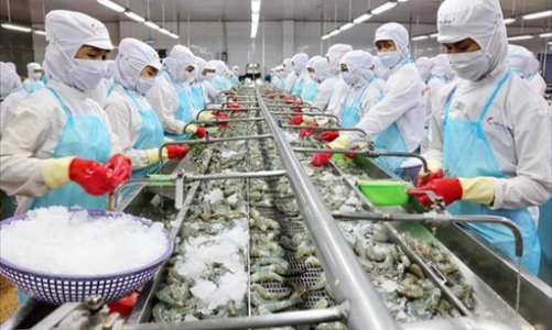 Seafood exports set new record, surpassing $11 bln for the first time