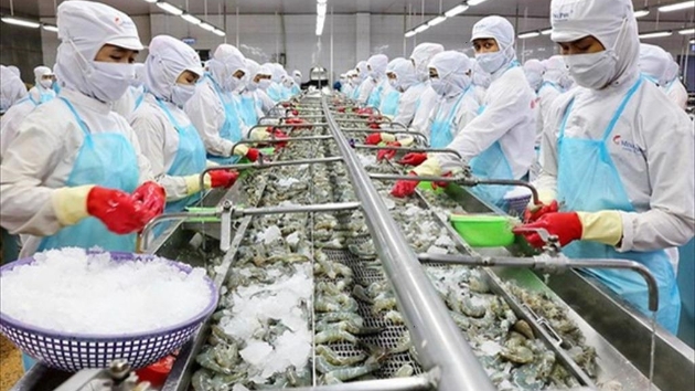 Seafood exports set new record, surpassing $11 bln for the first time