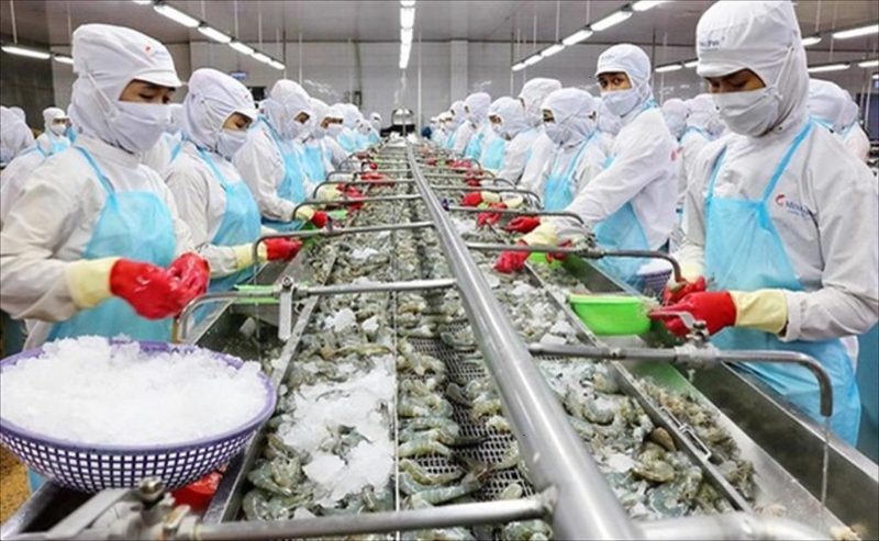 Seafood exports set new record, surpassing $11 bln for the first time
