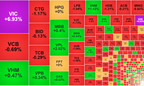 Thị trường “xanh vỏ”, tiền chọn đứng ngoài