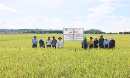 Quảng Trị thúc đẩy kinh tế xanh, mở rộng mô hình nông nghiệp hữu cơ - tuần hoàn giai đoạn 2026-2030