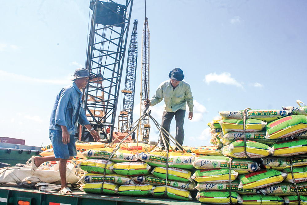 Phần lớn doanh nghiệp logistics trong nước có quy mô nhỏ, thiếu vốn và công nghệ, khiến khả năng tối ưu hóa chuỗi cung ứng còn hạn chế. Ảnh minh họa.