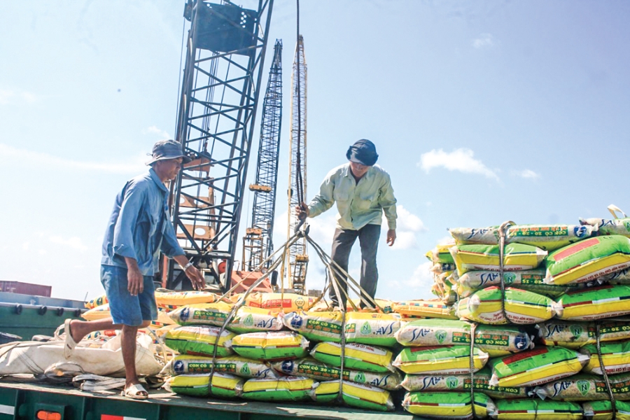 Bốc xếp hàng hóa tại cảng Cái Cui - Cần Thơ. Ảnh: Khánh Trung