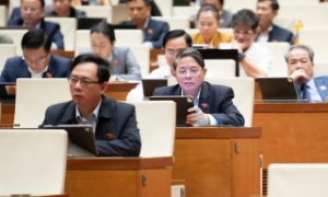 Phát hiện nhiều thủ đoạn mới của tội phạm kinh tế, lừa đảo, buôn lậu