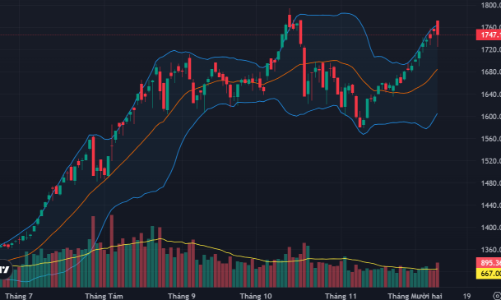 Dòng tiền bắt đáy hoạt động tích cực