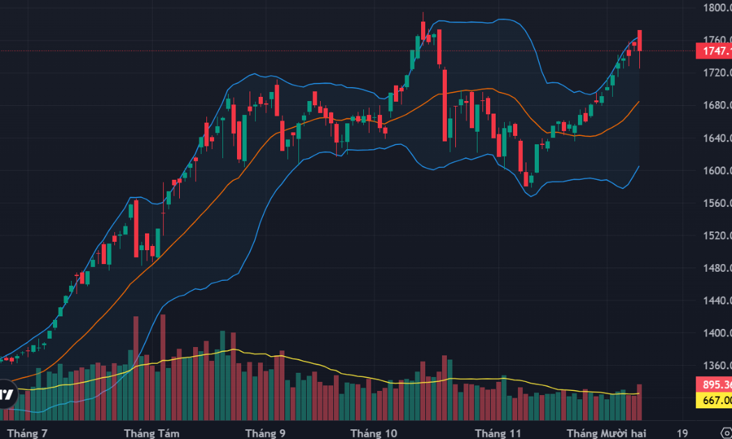 Dòng tiền bắt đáy hoạt động tích cực