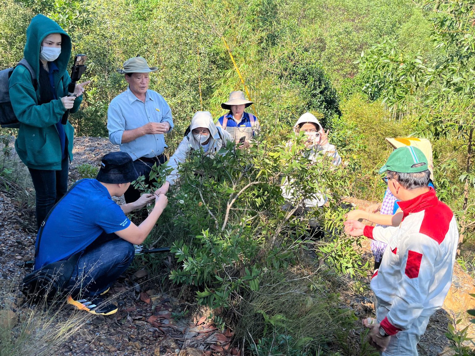 Chuyến điều nghiên khảo sát về các loài dược liệu bản địa tại huyện Hoà Vang.