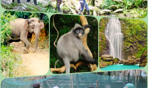 Vườn quốc gia Pù Mát ( Nghệ An) đón nhận danh hiệu Vườn di sản ASEAN