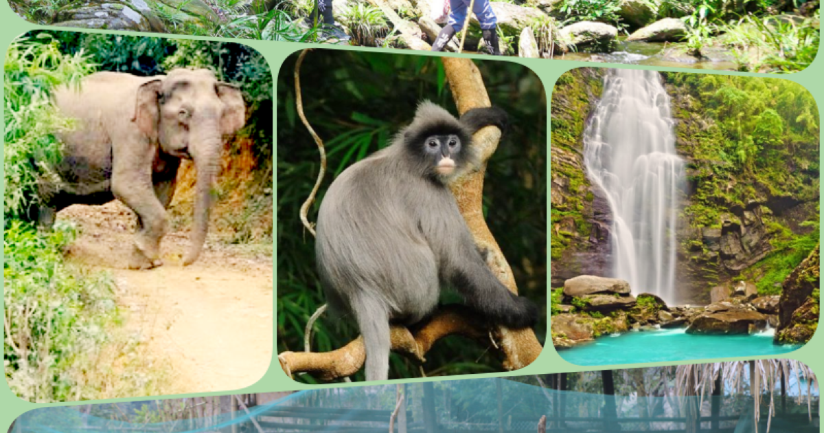 Vườn quốc gia Pù Mát ( Nghệ An) đón nhận danh hiệu Vườn di sản ASEAN