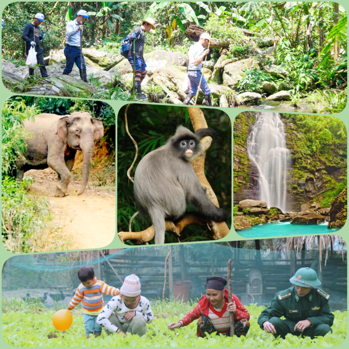 Nhiều hoạt động bảo tồn đa dạng sinh học tại Vườn quốc gia Pù Mát.