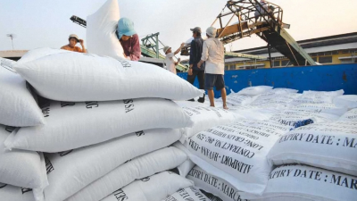 Vietnam’s rice exports plummet amidst Philippines market changes