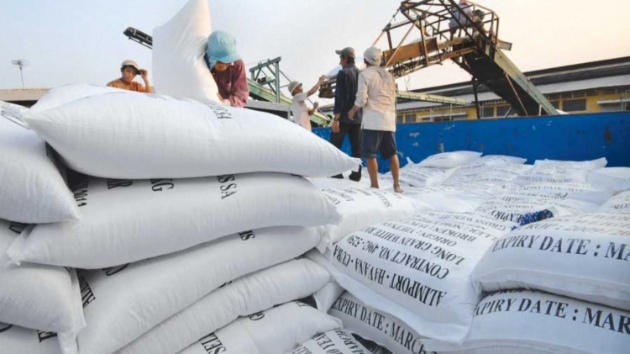 Vietnam’s rice exports plummet amidst Philippines market changes