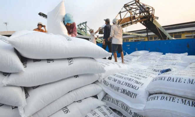 Vietnam’s rice exports plummet amidst Philippines market changes