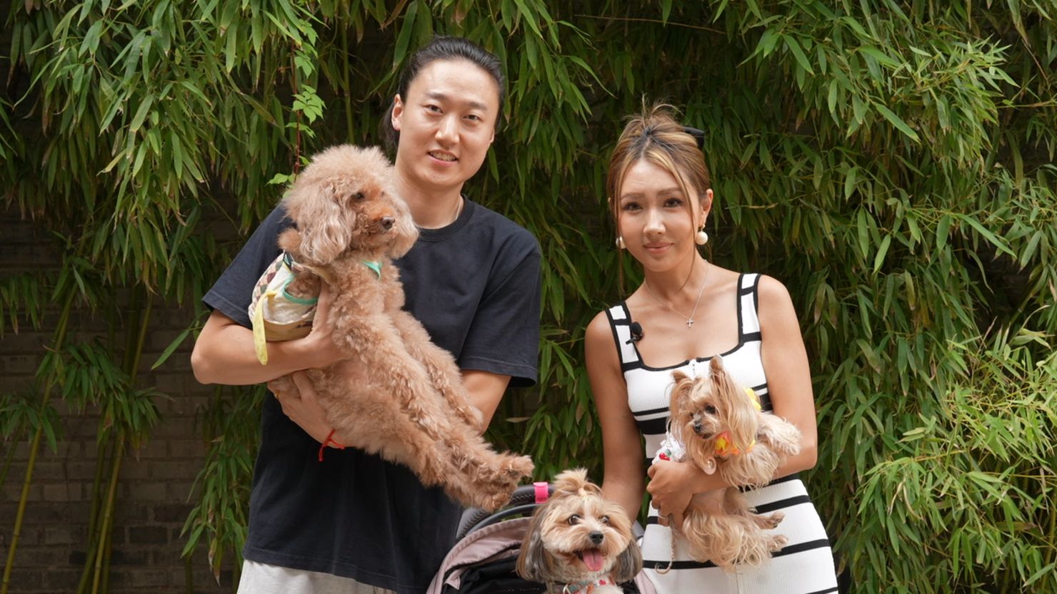 Người tiêu dùng trẻ Trung Quốc xem thú cưng như một thành viên trong gia đình.