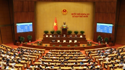 National Assembly approves Vietnam's first AI law