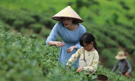 Định vị lại du lịch nông thôn theo hướng tăng trưởng xanh