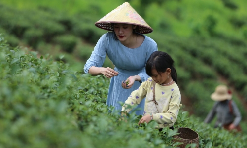 Định vị lại du lịch nông thôn theo hướng tăng trưởng xanh