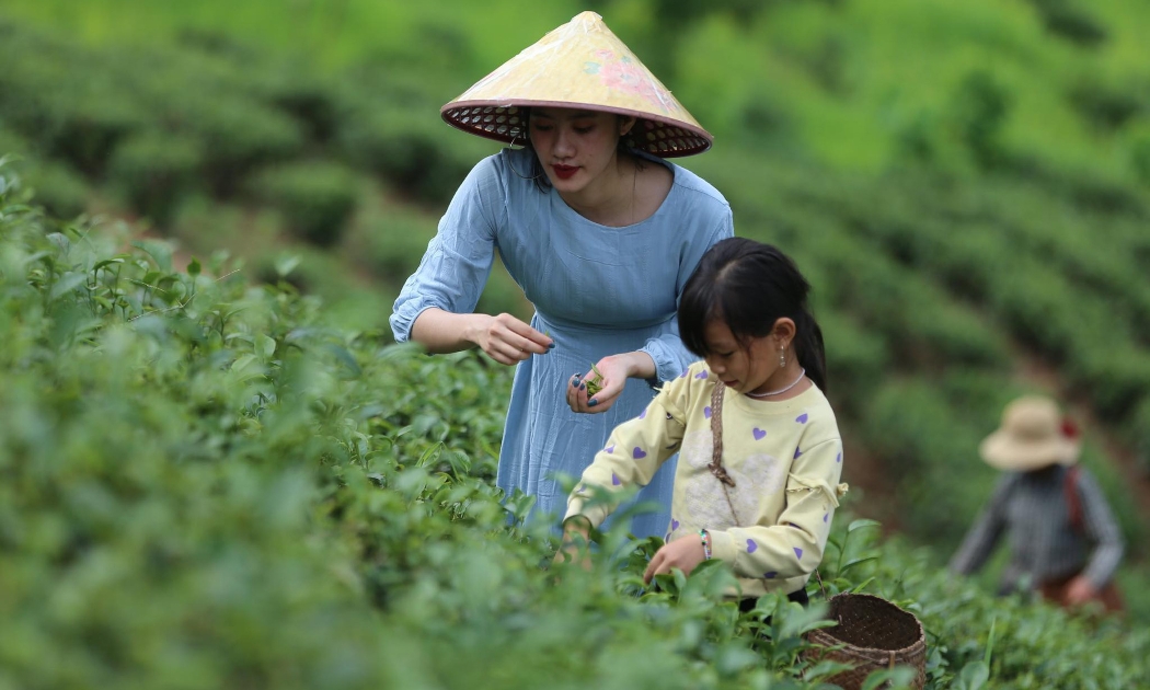 Các tiêu chí du lịch cần được tích hợp vào bộ tiêu chí nông thôn mới.