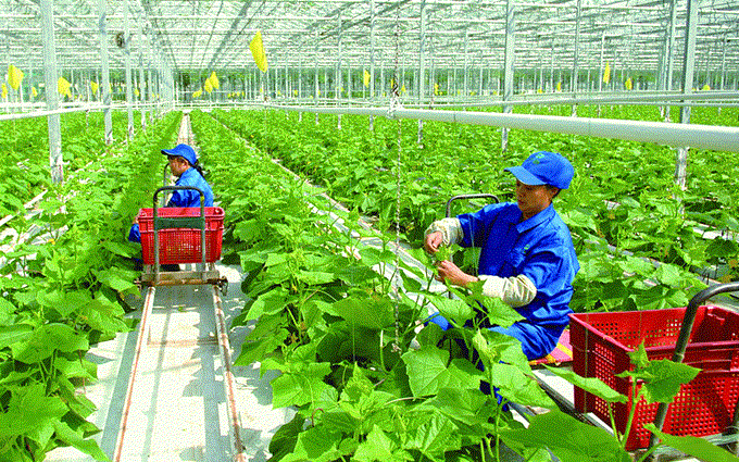 Cần những giải pháp chiến lược để Việt Nam “mở khóa” hàng tỷ USD vốn bền vững