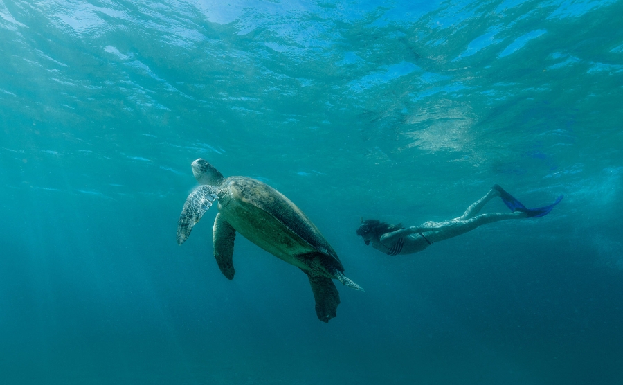 Lợi ích tinh thần của thiền dưới nước không chỉ gói gọn ở yoga.