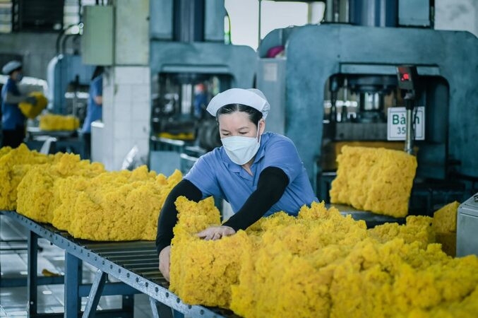 Ngành cao su đang chuyển mình theo xu hướng xanh và bền vững.