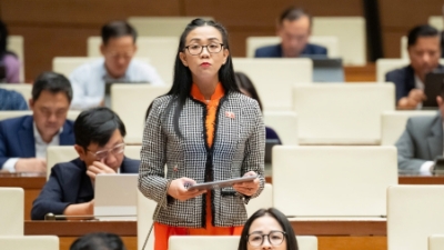 NA discusses encouraging public and private investment in small modular reactors