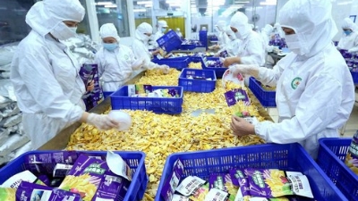 Vietnam’s agricultural products showcased at Food Africa 2025