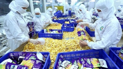 Vietnam’s agricultural products showcased at Food Africa 2025