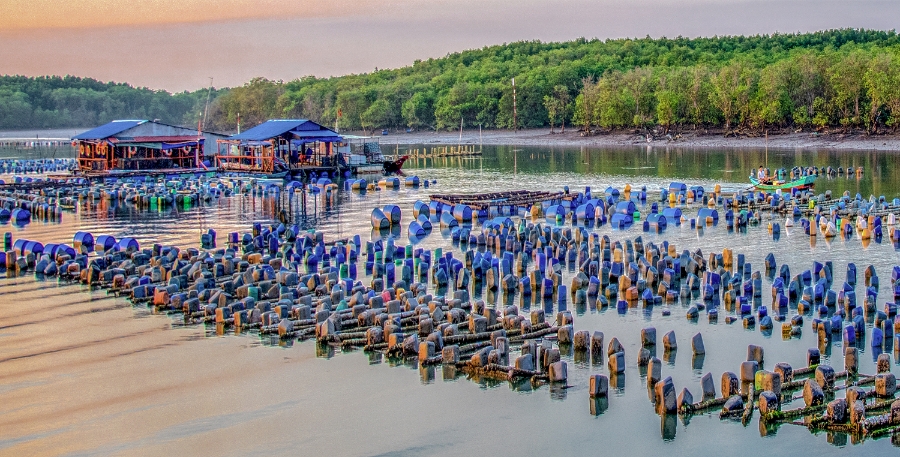 Du lịch nông thôn giúp thu nhập bình quân của người dân tăng từ 25% đến 40%.