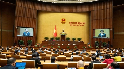 NA adopts resolution to address difficulties in land law implementation