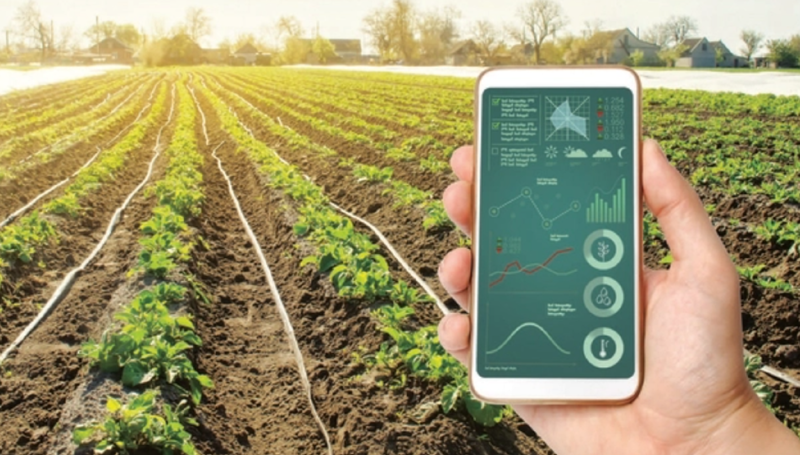 Đến 2030,&nbsp;100% bộ, ngành và 34 tỉnh/thành phố ban hành hoặc cập nhật kế hoạch về triển khai hoạt động truy xuất nguồn gốc.