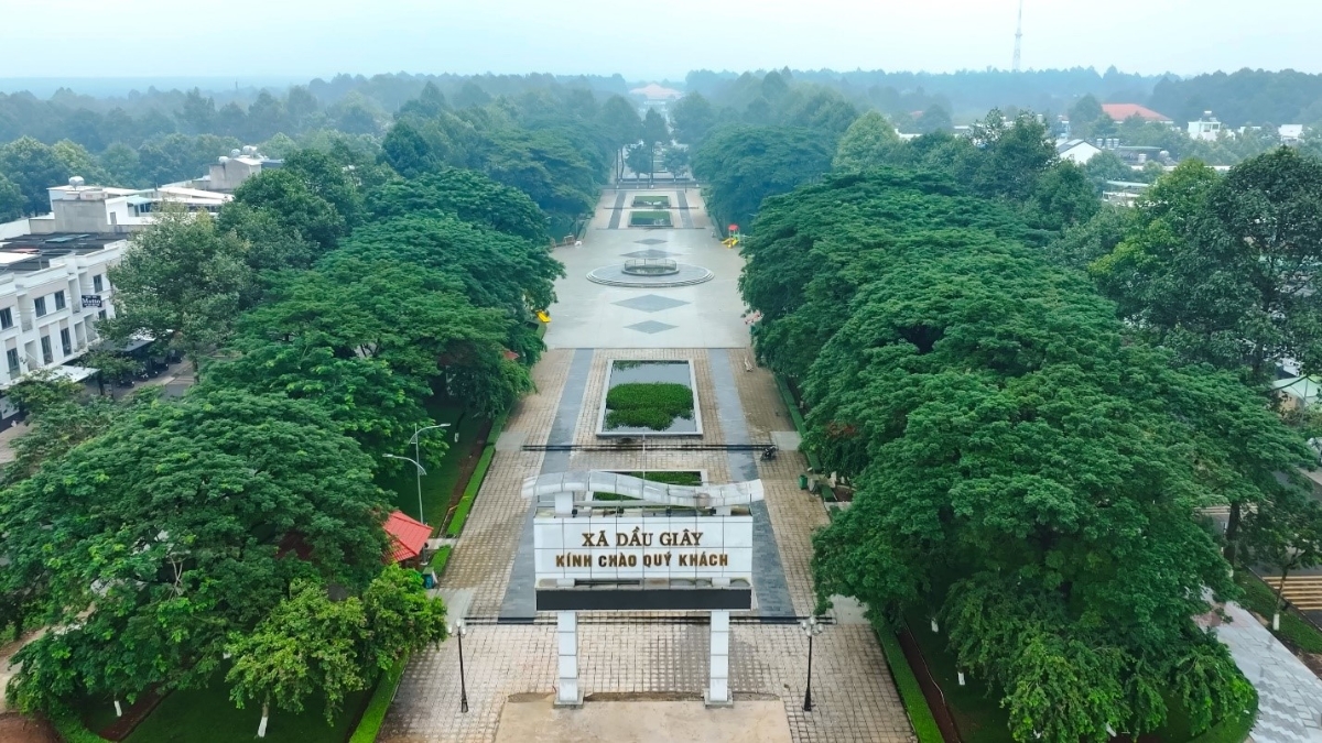 Dự án The Link City tọa lạc tại trung tâm hành chính Dầu Giây.