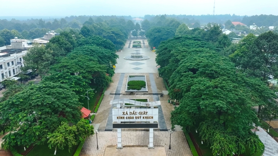 Dự án The Link City tọa lạc tại trung tâm hành chính Dầu Giây.