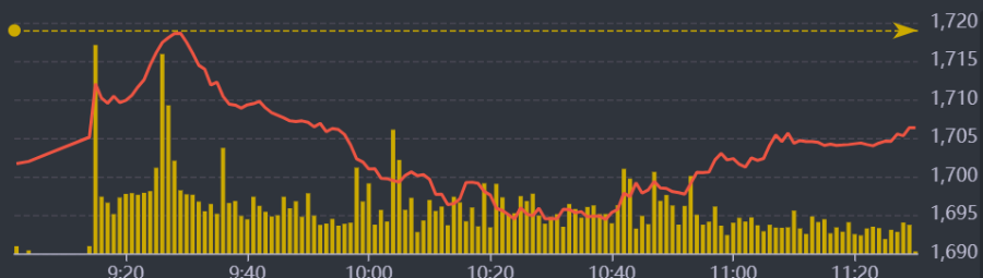 Diễn biến VN-Index sáng nay.