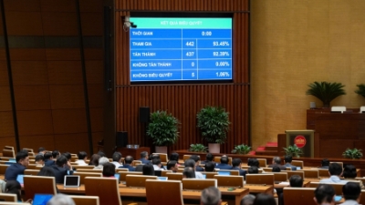 NA approves amendment allowing public employees to invest in and run businesses