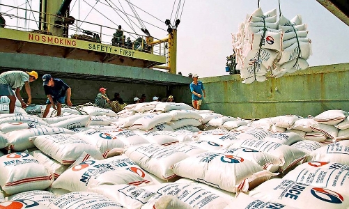 Xuất khẩu gạo 2026: Đòn bẩy từ FTA và chuẩn hóa vùng nguyên liệu chất lượng cao