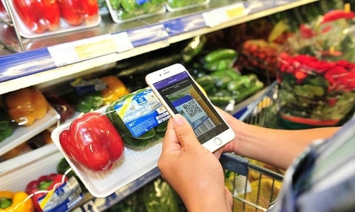 Truy xuất nguồn gốc cần vượt qua tư duy “dán tem” và hướng tới liên thông quốc tế