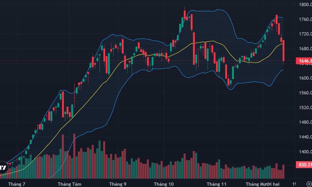 Bán tháo ào ạt, cổ phiếu sàn la liệt, VN-Index giảm sốc nhất 40 phiên
