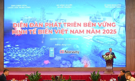Định hình mô hình phát triển mới cho kinh tế biển Việt Nam