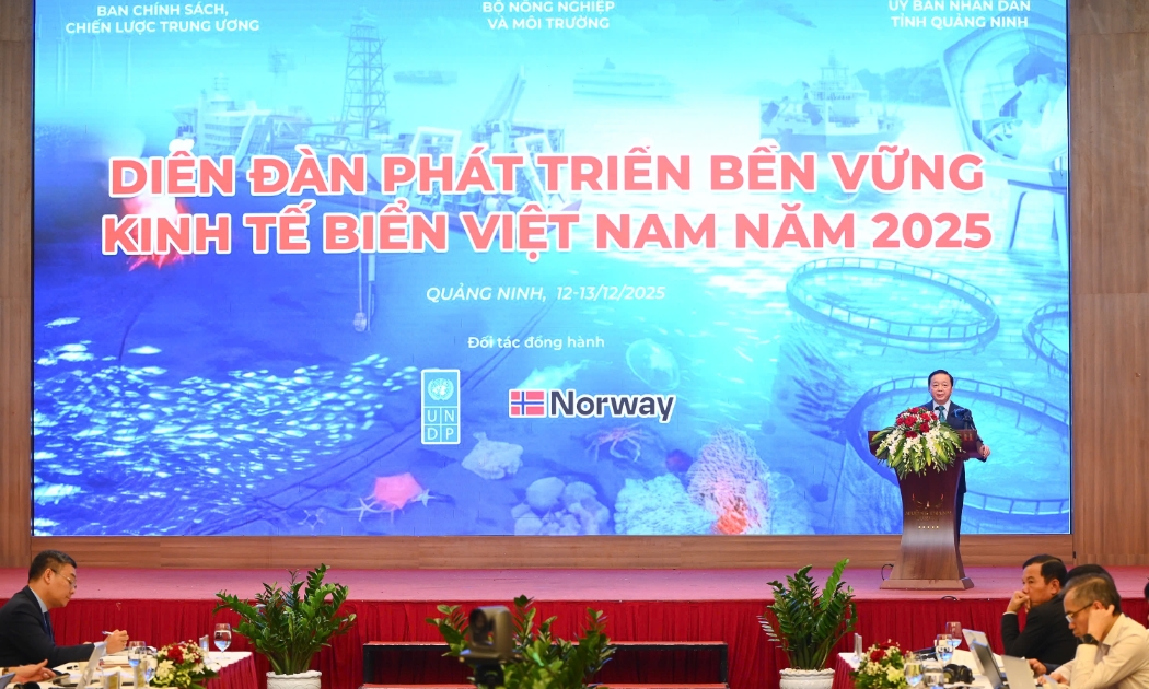 Phó Thủ tướng Trần Hồng Hà phát biểu tại Diễn đàn.