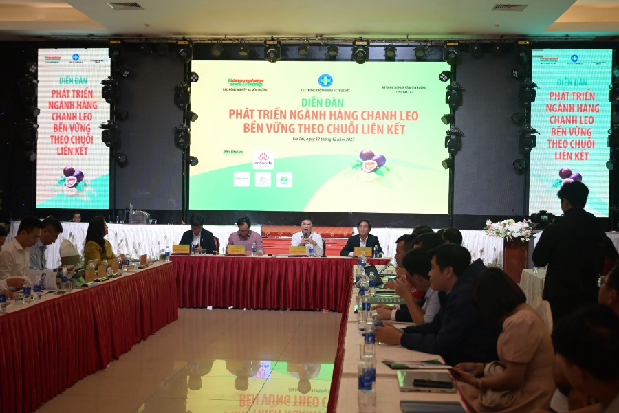 Quang cảnh Diễn đàn.