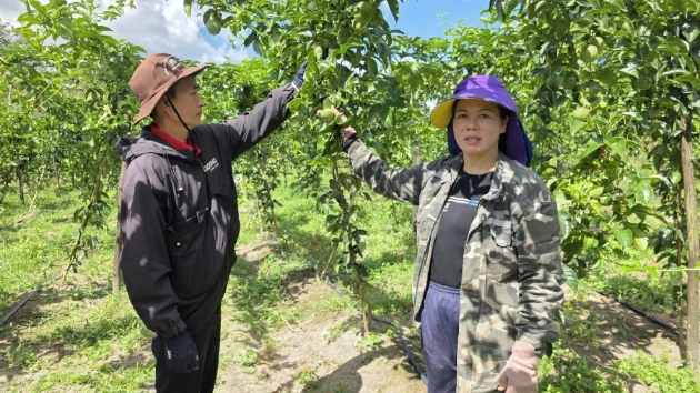 Passion fruit exports surge, expected to hit record $250 mln