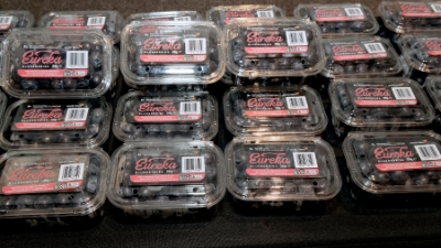 Australian blueberries and Vietnamese pomelos: a new milestone in bilateral Agri-trade