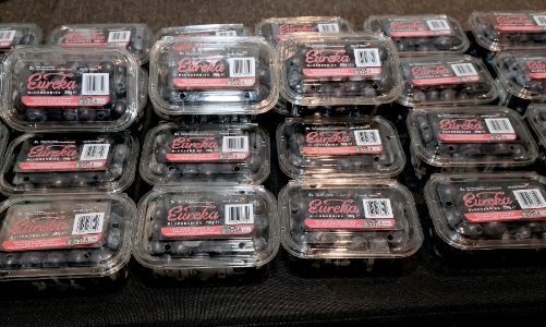 Australian blueberries and Vietnamese pomelos: a new milestone in bilateral Agri-trade